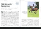Artikel in PACE Polomagazin Ausgabe November 2011 – Sehnenprobleme bei Polopferden
