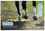 Artikel in „Mein Pferd„, Ausgabe Oktober / 2010 Ataxie