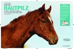 Artikel in „Mein Pferd„, Ausgabe Januar / 2011 Hautpilz