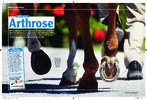Artikel in „Mein Pferd“, Ausgabe September / 2009 Arthrose