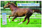 Artikel in „Mein Pferd“, Ausgabe Oktober / 2009 Sehnenerkrankungen