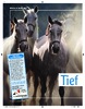 Artikel in „Mein Pferd„, Ausgabe Januar / 2010 Erkrankunden der unteren Atemwege