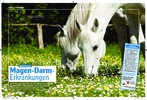 Artikel in „Mein Pferd„, Ausgabe März / 2010 Magen-Darm-Erkrankungen