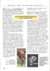 Fesselträgerverletzung beim Rennpferd – Artikel von Dr. Weinberger in der GaloppClubDeutschland- Post