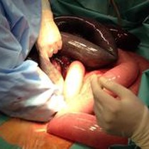 Innere Medizin