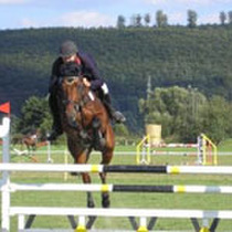 Sportmedizin Allgemein